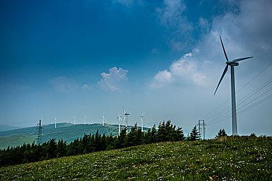 《碧海黑帆》开发组发布官方声明 强调自己初心不变